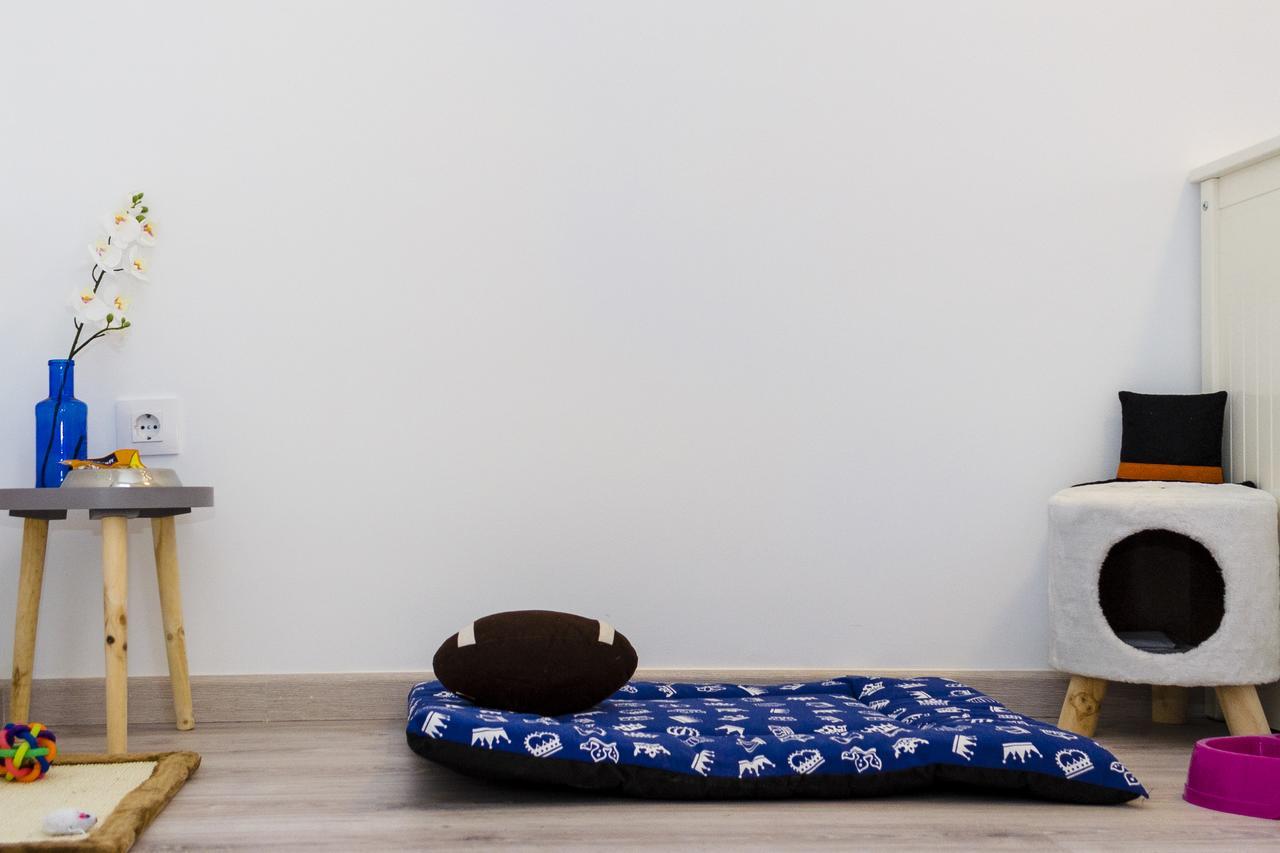 Apartup Viveros Pets Valencia Luaran gambar